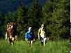 Image of Hikers