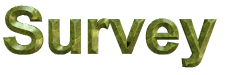 Survey